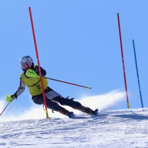Clubskilaparva