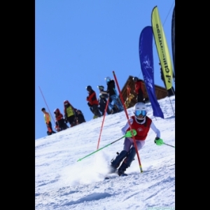 Clubskilaparva
