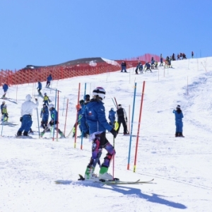 Clubskilaparva