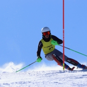 Clubskilaparva