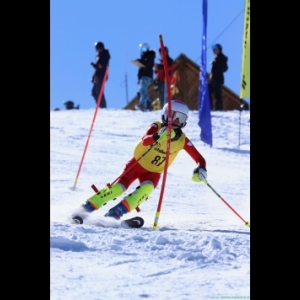 Clubskilaparva