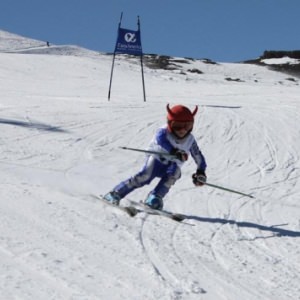 Clubskilaparva